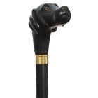 Harvy Canes Scout Walking Stick