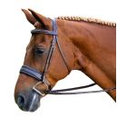 KL Select Lexington Fancy Raised Padded Bridle