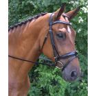 Red Barn Topline Dressage Bridle