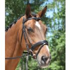 KL Italia Pirouette Padded Dressage Bridle w/ Flash Crank