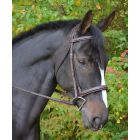 Black Oak Fancy Raised Padded Cyprus Bridle w/ Padded Crown & Fancy Laced Reins