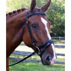 Black Oak Juniper Dressage Bridle with Flash Caveson