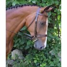 Foxtrot Flat Hunt Bridle with 3/4" Flat Laced Pin Reins