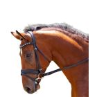 Black Oak Daphne Dressage Bridle With Reins