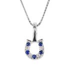 Kelly Herd Sterling Silver Blue & Clear Horseshoe Necklace