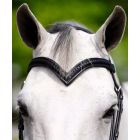 Black Oak V-Shaped Braided Browband