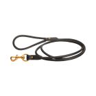 Tory Rolled Leather Dog Leash
