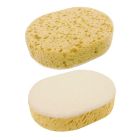 Medium Scrub Sponge