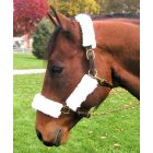 Fleece Halter 4-pc. Tube Set