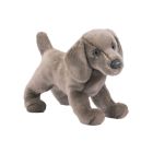 Douglas Toy Cassie Weimaraner