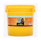 Finish Line Sweat-Well Powder (3.3Lbs)
