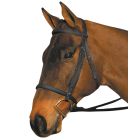 Wintec Bridle Without Reins