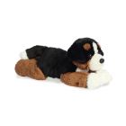 Aurora 12" Bernie Mountain Dog Toy