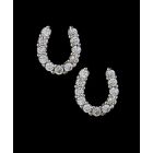 Loriece Cubic Zirconium Horseshoe Earrings