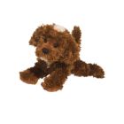 Douglas Bosco Choco Labradoodle