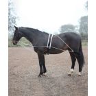 Shires Lunging Aid System