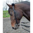 Shires Lunging  Adapter