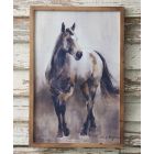 Horse Wall Art