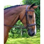 Black Oak Laurel Padded Hunter Bridle