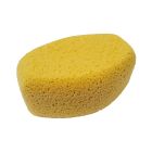 Jack's Hadera Premium Oval Tack Sponge