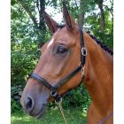 Red Barn Devon Ergonomic Halter