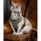 Digby & Fox Tweed Dog Harness