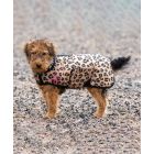 Digby & Fox Leopard Print Dog Coat