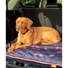 Digby & Fox Waterproof Dog Bed 60cm X 80cm