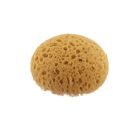 Round Hydra Tack Sponge Medium 4.5" - 5"