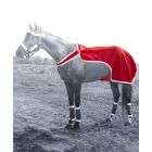 Tough 1 Santa Quarter Sheet