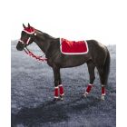 JT International 5-Peice Santa English Set
