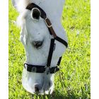 ThinLine Flexible Filly Slow Feed Grazing Muzzle