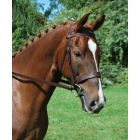 KL Italia Foxwell Flat Hunt Bridle