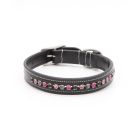 KL Select Crystal Dog Collar