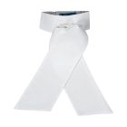 RJ Classics Camden Plain Pre-Tied Stocktie