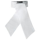 RJ Classics Radnor Stock Tie