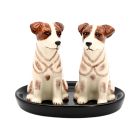 Hand Painted Salt & Pepper Shaker with Ceramic Tray