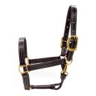 Walsh 1" Triple Stitched Leather Halter