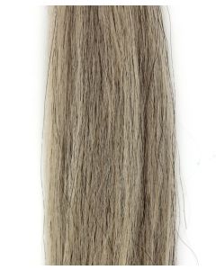 Champion Double Horse Tail (White or Lt. Grey)