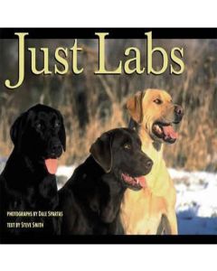 Book: Just Labs
