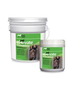 Elevate Maintenance Powder