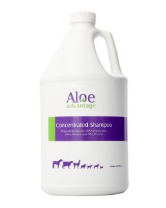 Aloe Advantage Concentrated Shampoo (1 Gallon)