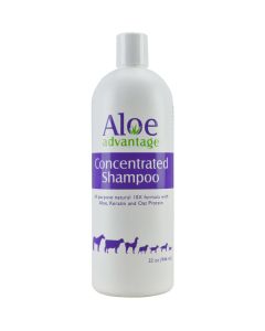 Aloe Advantage Concentrated Shampoo 32oz
