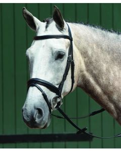 Weatherbeeta Collegiate Padded Raised Dressage Flash Bridle With Rubber Reins