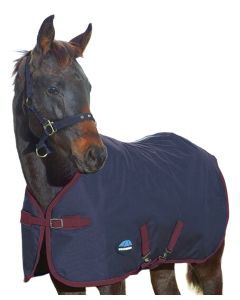 Weatherbeeta 1200D Foal Standard Neck Turnout Blanket (220g Medium)