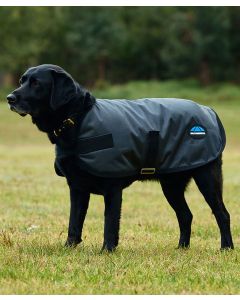 Weatherbeeta ComFiTec Classic Waterproof Dog Coat