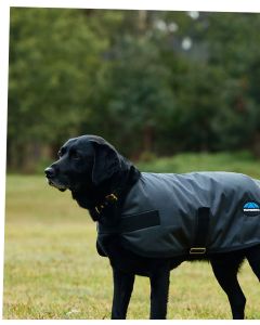 Weatherbeeta ComFiTec Classic Waterproof Dog Coat