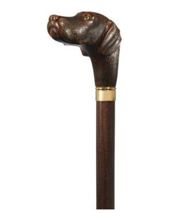 Harvy Canes Brownie, Our Chocolate Lab Walking Stick