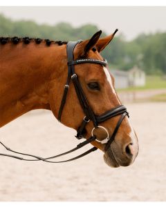 KL Select Impulsion Padded Bridle With Crystal Browband Without Reins