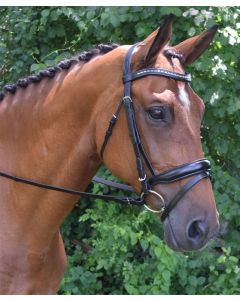 Red Barn Topline Dressage Bridle